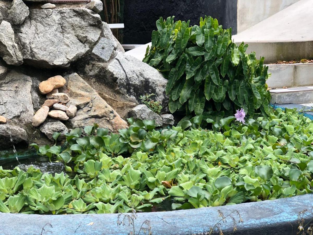 Pousada Tubarao Porto Seguro Dış mekan fotoğraf