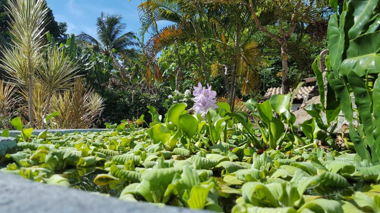 Pousada Tubarao Porto Seguro Dış mekan fotoğraf